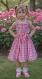 Pink Gingham Dress